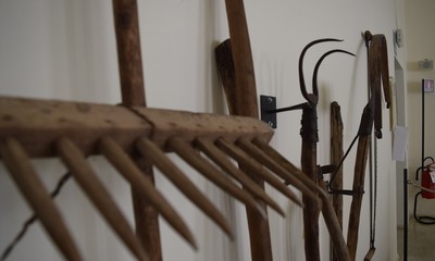 dsc-0018
